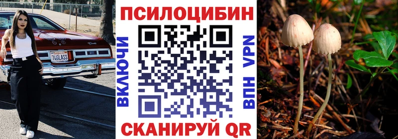 Галлюциногенные грибы прущие грибы  закладки  Калининец 